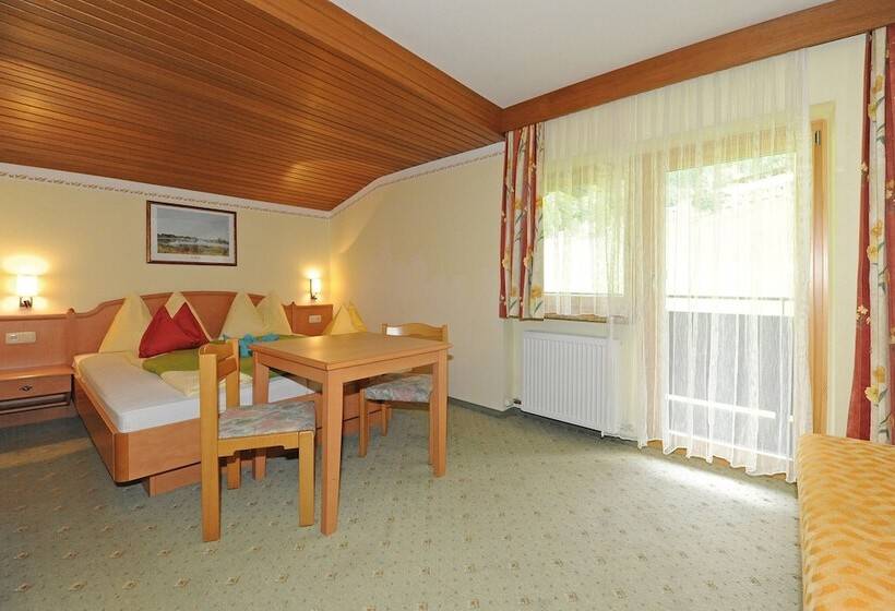 舒适型单人间, Ski In Ski Out Hotel Unterellmau