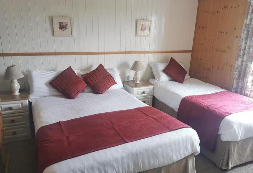 Номер Стандарт Трехместный, The Olde Castle B&b