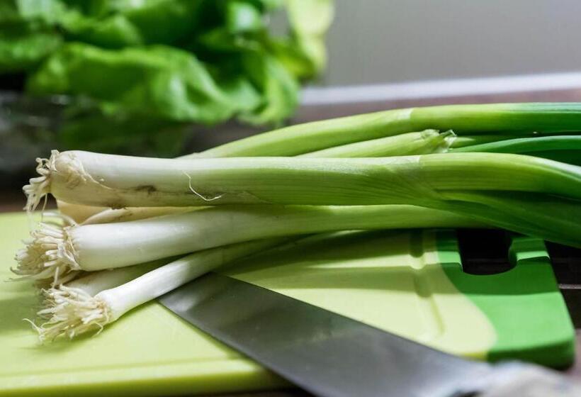 דירת שני חדרים, Aparthotel Gallahaus