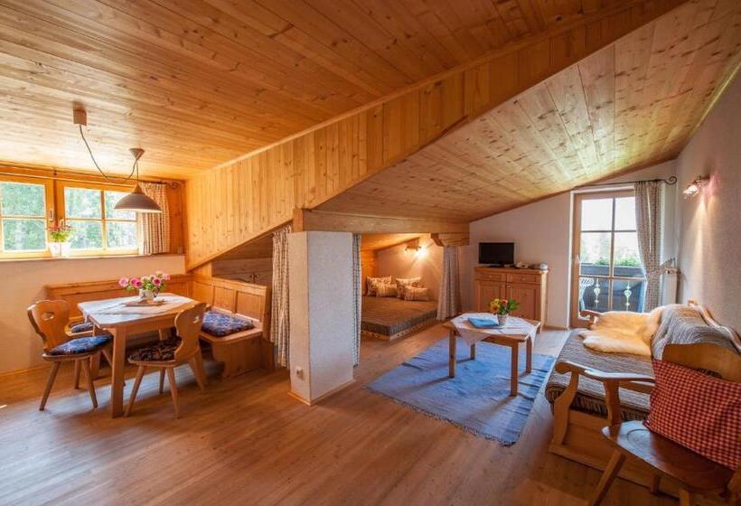 Апартаменты 1 Спальня, Zugspitzhotel Diana Thörle