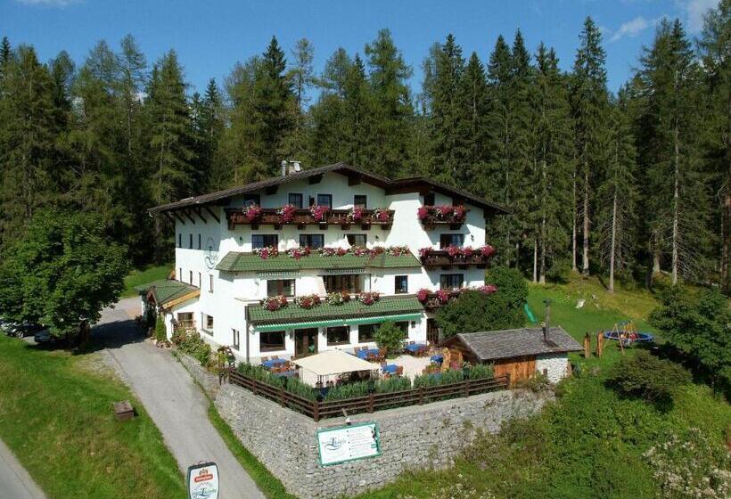 شقة غرفة واحدة, Zugspitzhotel Diana Thörle