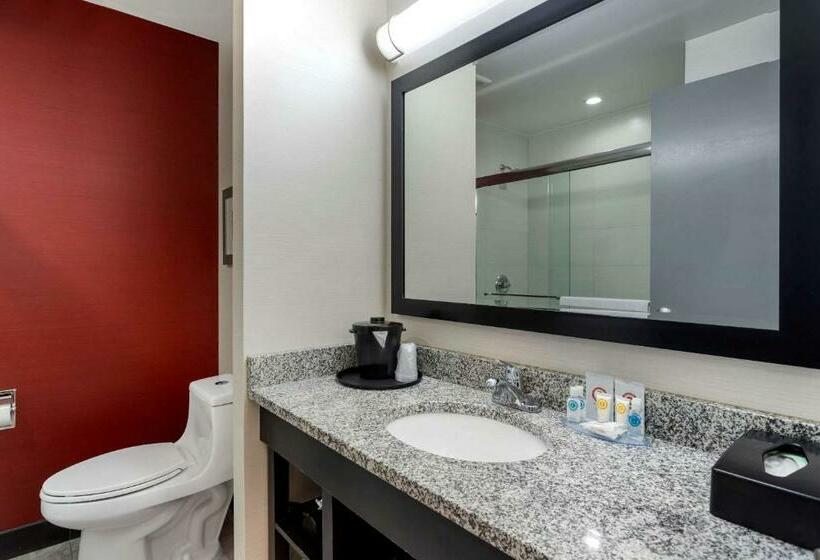 标准间, Comfort Inn & Suites Near Stadium