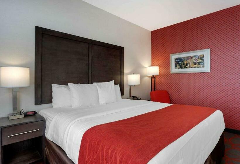 带大床的标准间, Comfort Inn & Suites Near Stadium