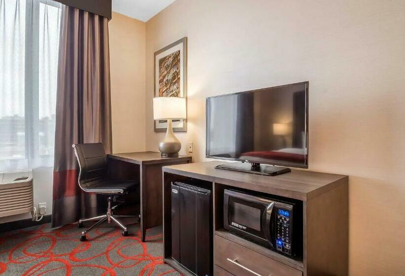 标准间, Comfort Inn & Suites Near Stadium