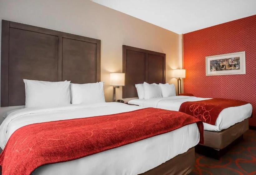 适合残疾人使用的标准间, Comfort Inn & Suites Near Stadium