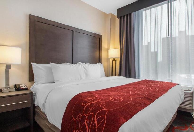 带大床的套房, Comfort Inn & Suites Near Stadium