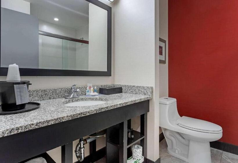 带大床的套房, Comfort Inn & Suites Near Stadium