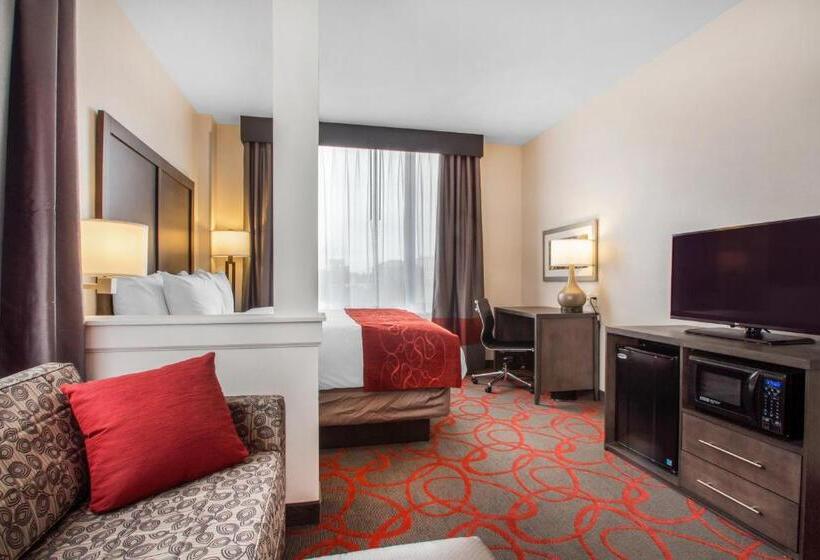 带大床的套房, Comfort Inn & Suites Near Stadium