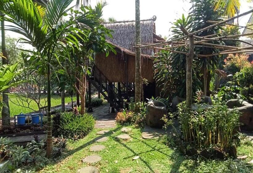 Номер Basic, Aries Biru Resort