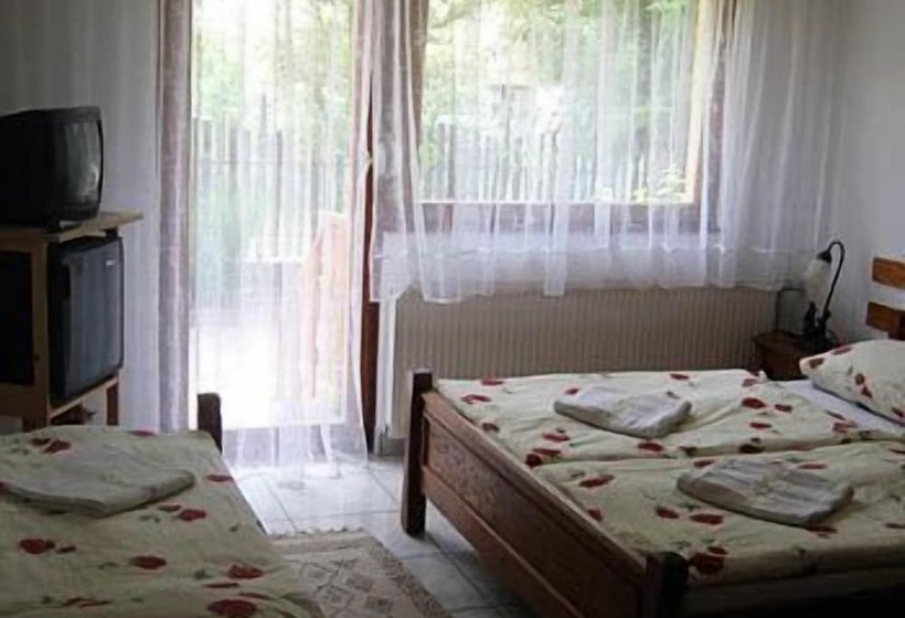Номер Стандарт, Sarokhaz Panzio