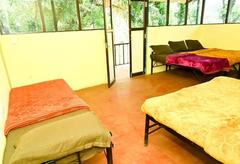 家庭间, Jungle Adventure Homestay