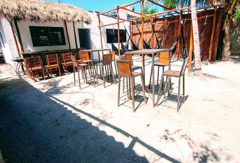 Standard Tent, Aventura Maya Hostal Y Camping   Holbox