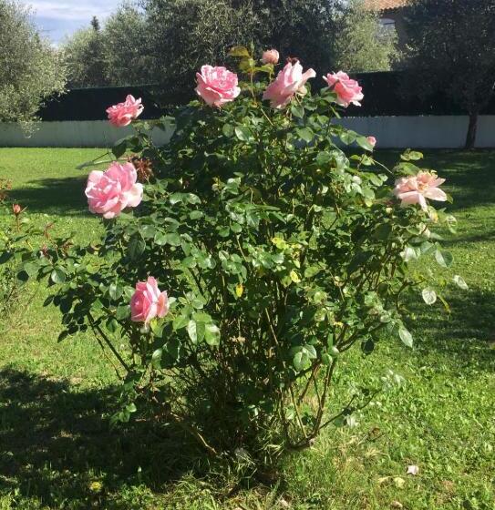 스탠다드 룸 가든 전망, Chambre Privée Dans Villa Provençale