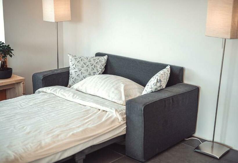 سوئیت با تخت بزرگ, Eco Boutique Hotel Ams Beagle