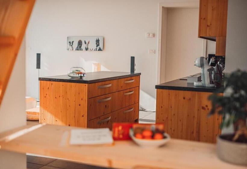 سوییت اجرایی, Eco Boutique Hotel Ams Beagle