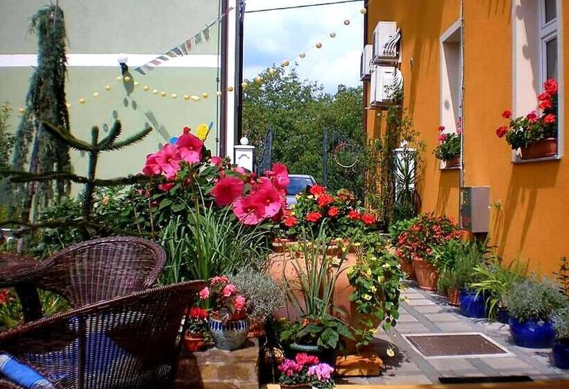 اتاق پنج‌تخته استاندارد, Hostel Sonce