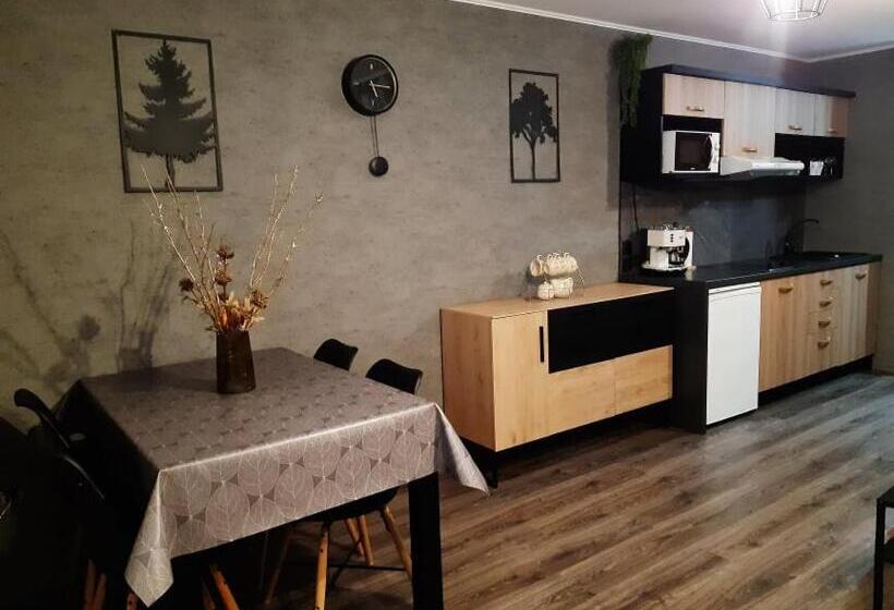 带1个卧室的豪华公寓, Family Apartments