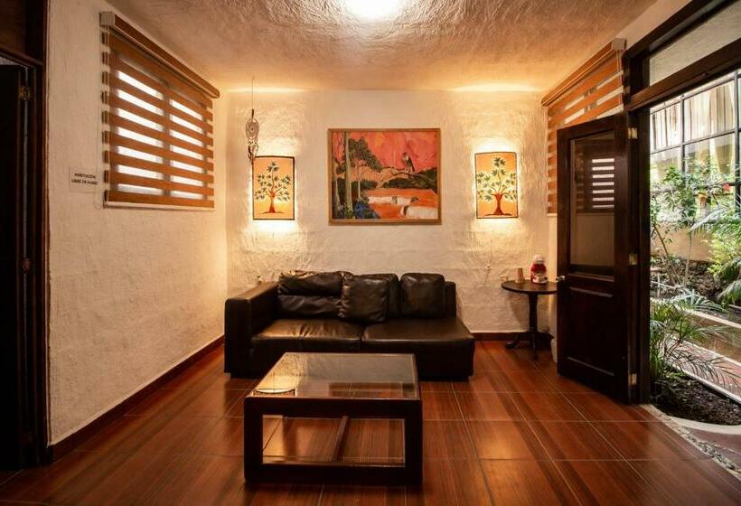 سوئیت مستر, Boutique Teocalli