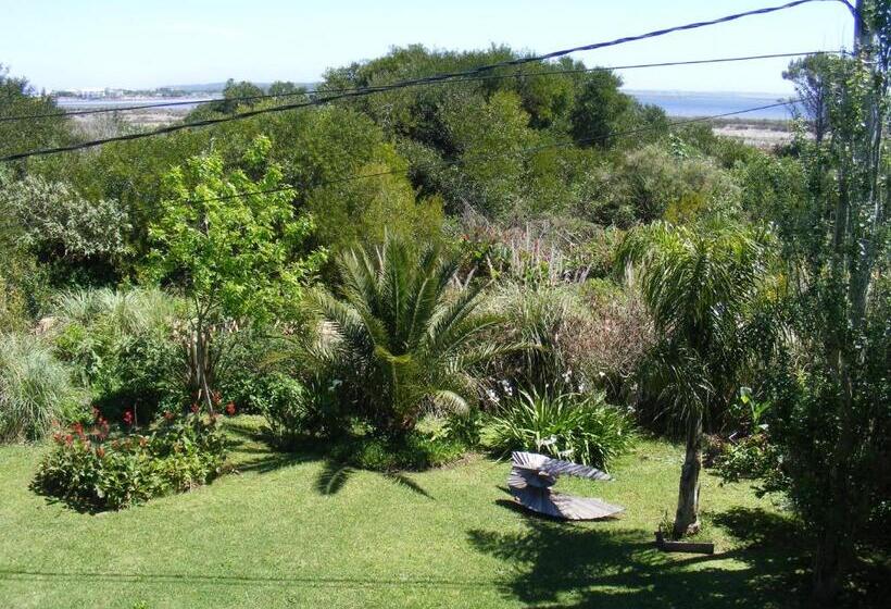 Habitación Superior con Terraza, Hale Lau
