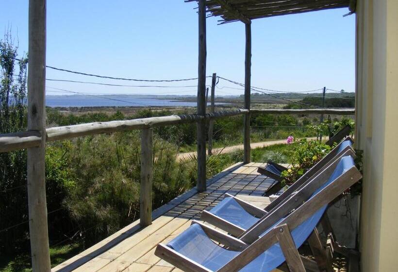 Habitación Superior con Terraza, Hale Lau