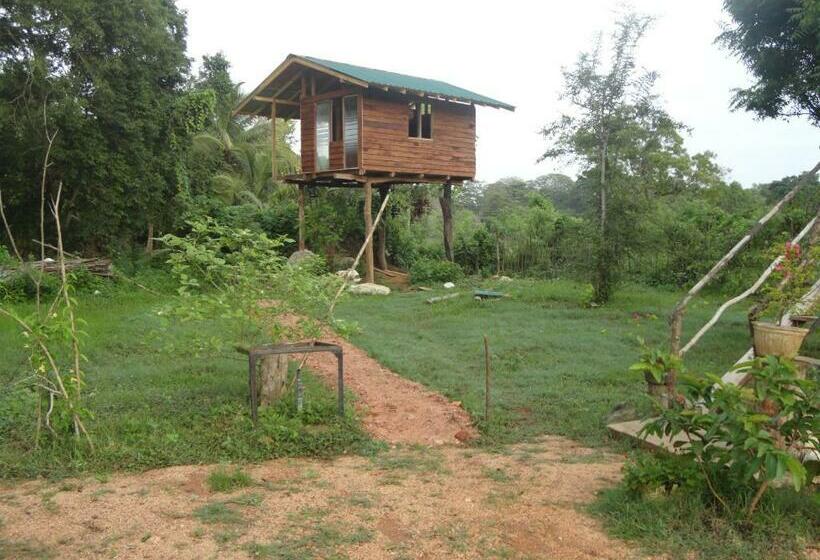 Дом 1 Спальня, Sigiri Forest View