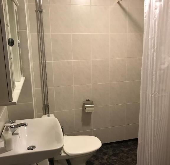带共用浴室的标准房间, Hedemora Logi