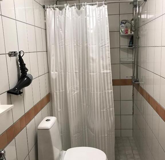 带花园景观及2个卧室的公寓, Hedemora Logi