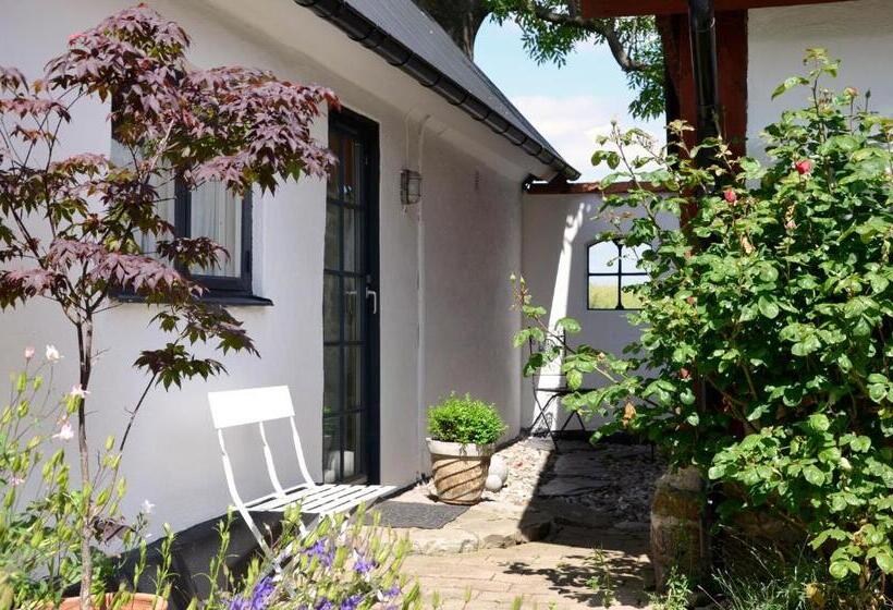 Апартаменты Дюплекс 1 Спальня, Torsborgs Gård