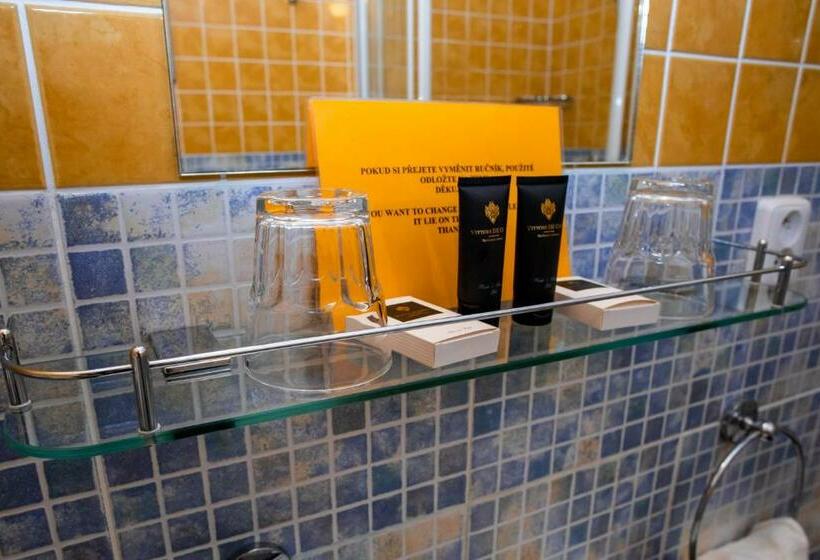 带1个卧室的公寓, Boutique Hotel Templ