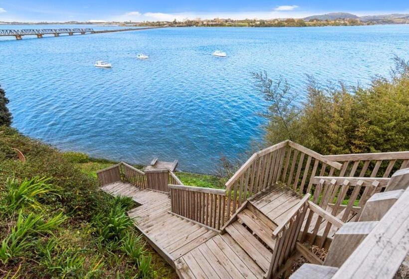 스탠다드 스튜디오 퀸 침대, The Tauranga On The Waterfront