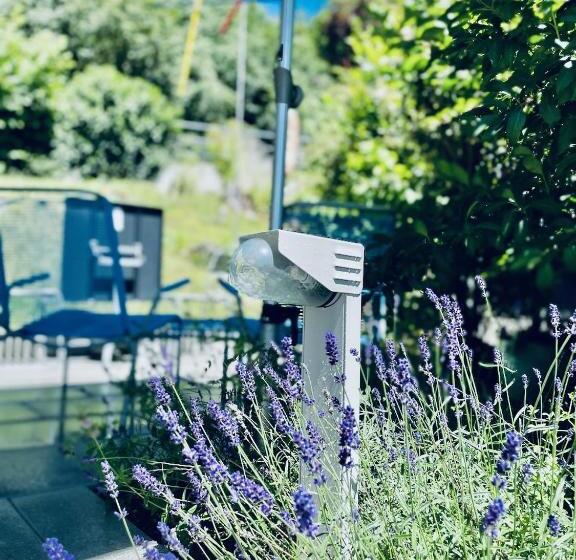 Номер Economy, Bed Bike And Breakfast Olten