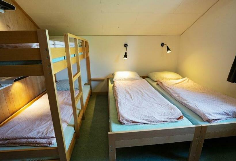 Номер Стандарт Четырехместный Совместный Санузел, Brienz Youth Hostel