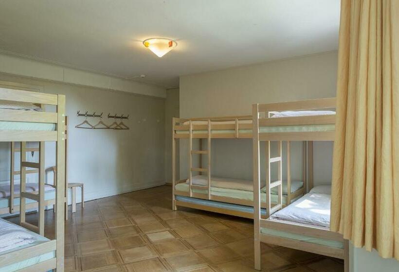 Кровать в Общей Комнате, Schaffhausen Youth Hostel