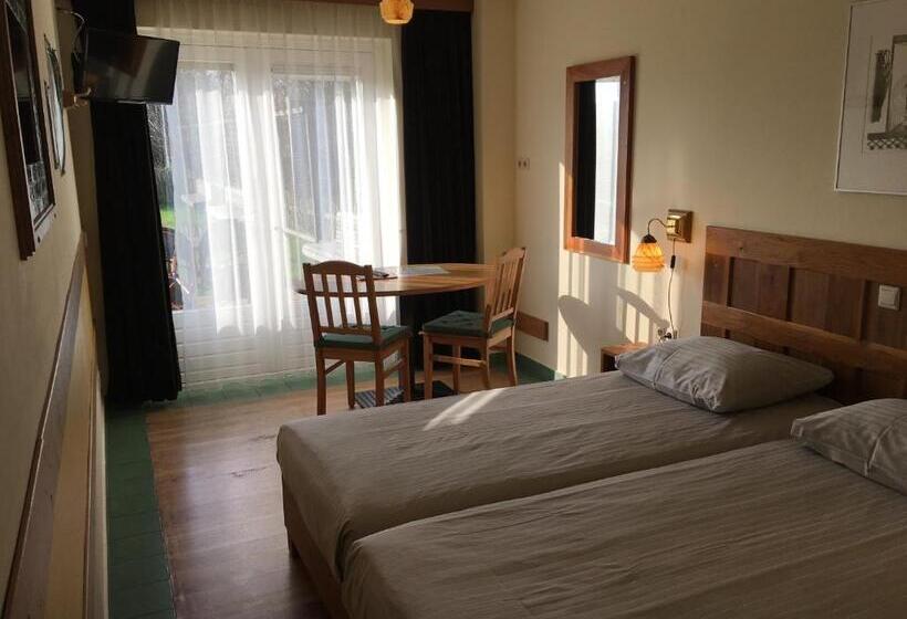 غرفة قياسية مزوَّدة بتراس, Carels Kamers Texel