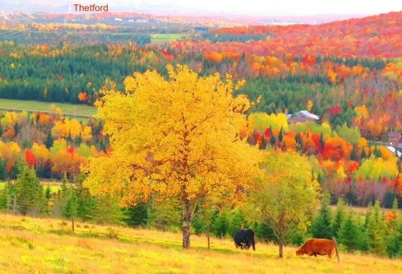 Люкс, Le Gîte Ambrelane