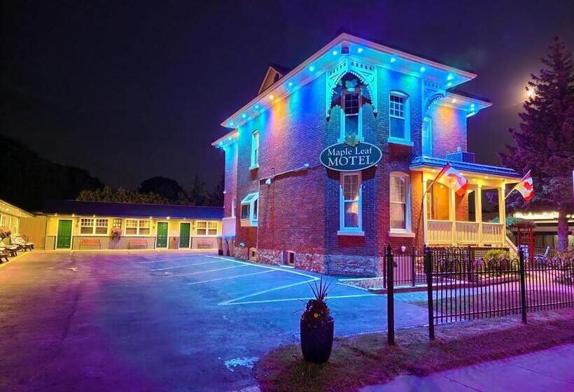 Номер Стандарт, Maple Leaf Motel