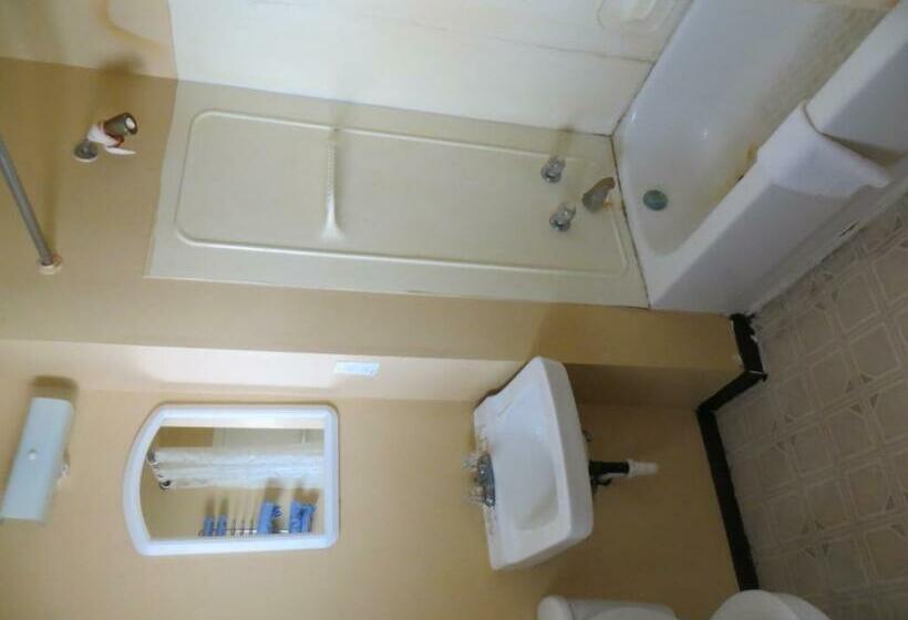 Cameră Standard Pat King Size, Lincoln Lodge Motel