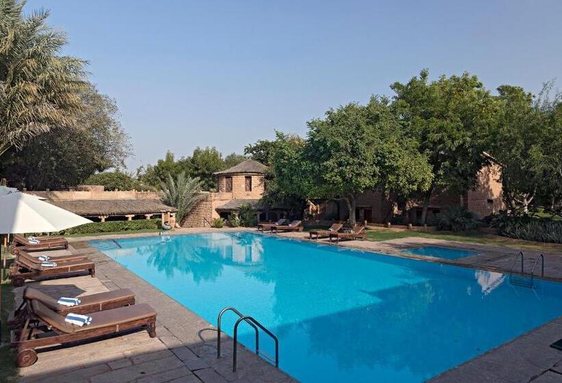 高级大房间, Manvar Resort & Tented Camp