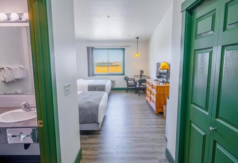 اتاق استاندارد, Teton Valley Motel