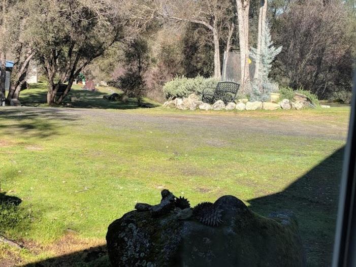 Номер Стандарт, Yosemite Nights B&b