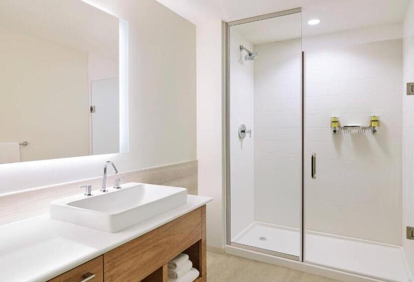 استودیوی استاندارد با تخت دو نفره بزرگ, Element West Des Moines