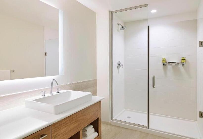 سوئیت اجرایی با تخت کینگ, Element West Des Moines