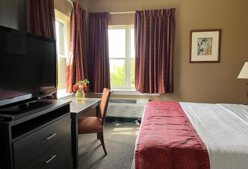 스탠다드 룸 킹사이즈 침대, Brinton Suites