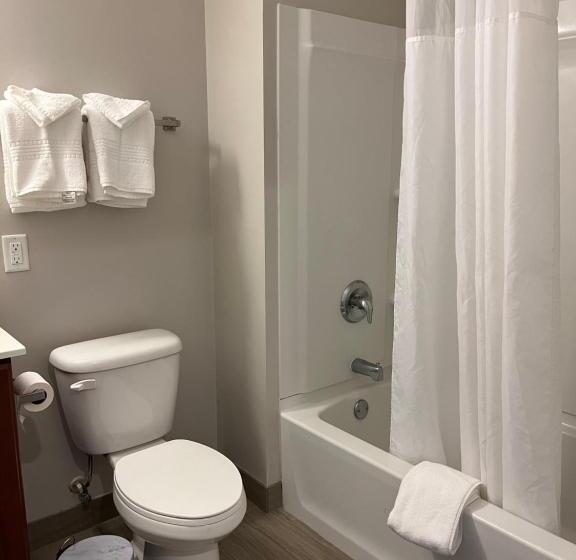 스탠다드 룸 킹사이즈 침대, Brinton Suites