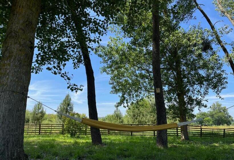 Номер Стандарт Вид на Сад, Hózhó Tempo   Sous Les Pins, Bed & Breakfast écofriendly & Slowlife Avec Sauna