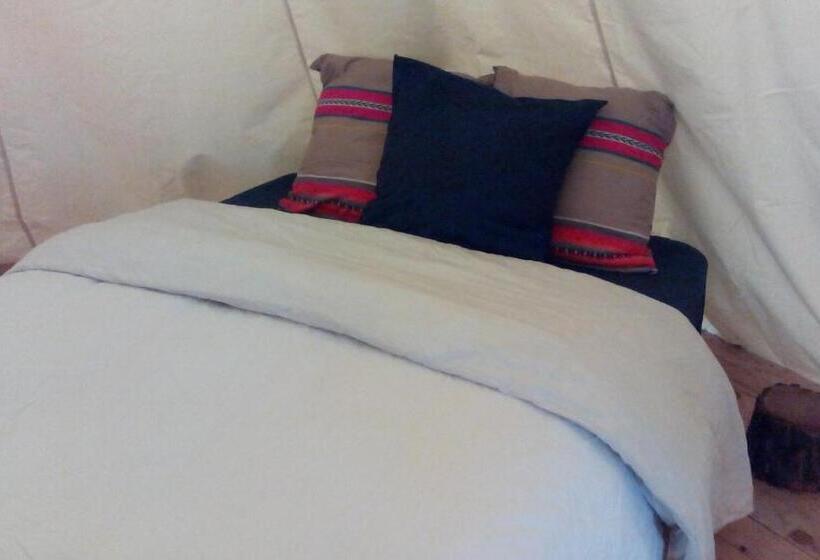 Standard Tent, Au Chat Qui Pêche