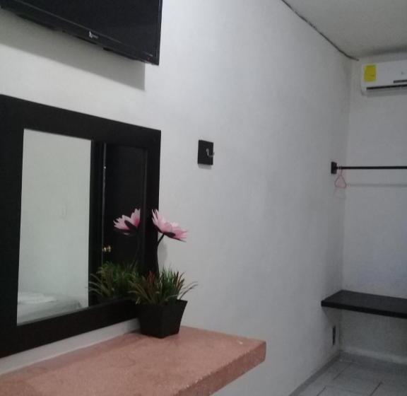 스탠다드 룸, 41 Valladolid