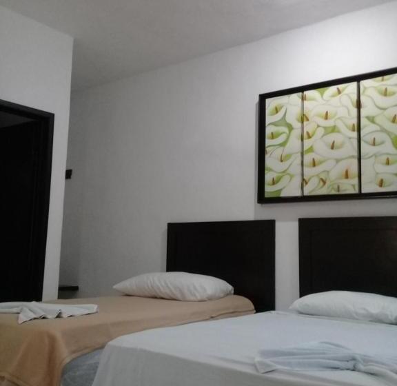 스탠다드 룸, 41 Valladolid