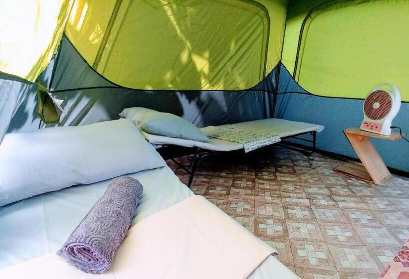 Standard Tent, Stay N Save B&b
