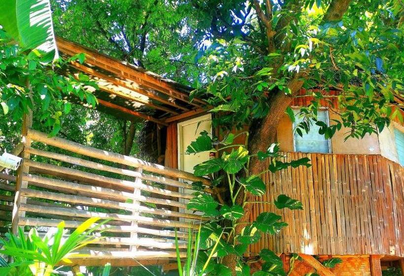 Семейный Номер Вид на Сад, Stay N Save B&b